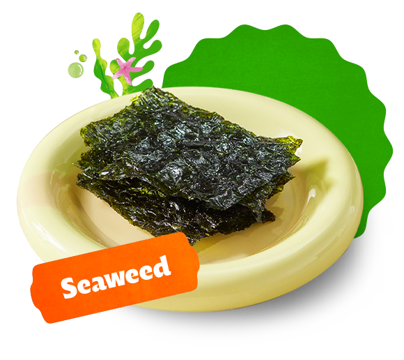 Seaweed